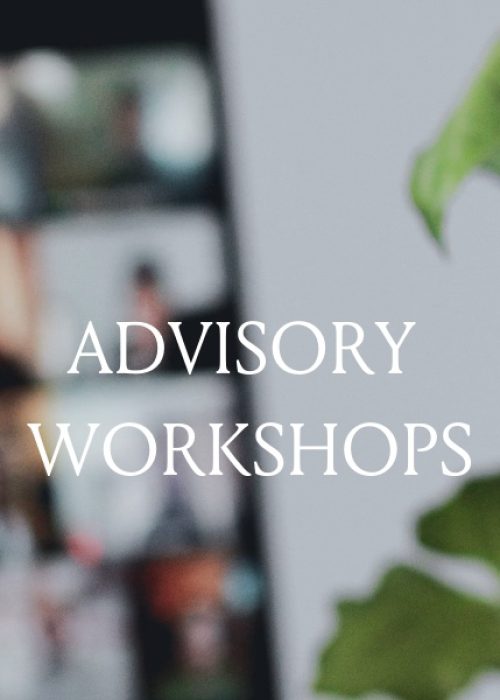 Prono advisory workshop